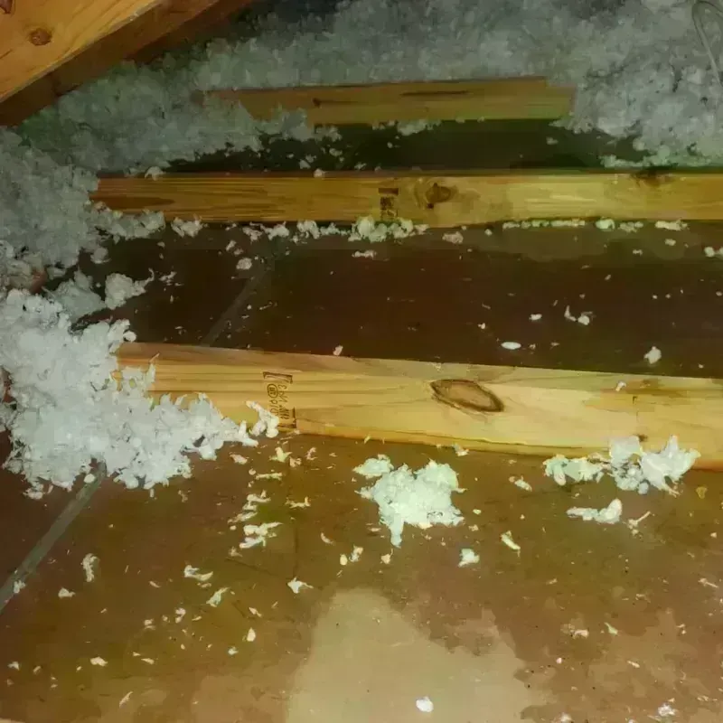 Attic Water Damage in Northfield, MN