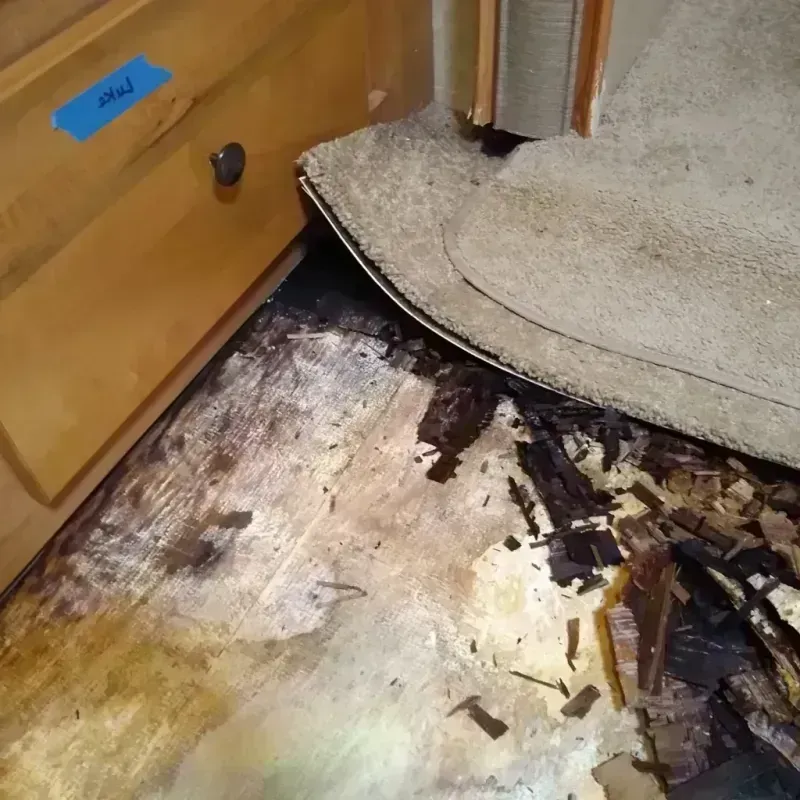 Wood Floor Water Damage in Northfield, MN